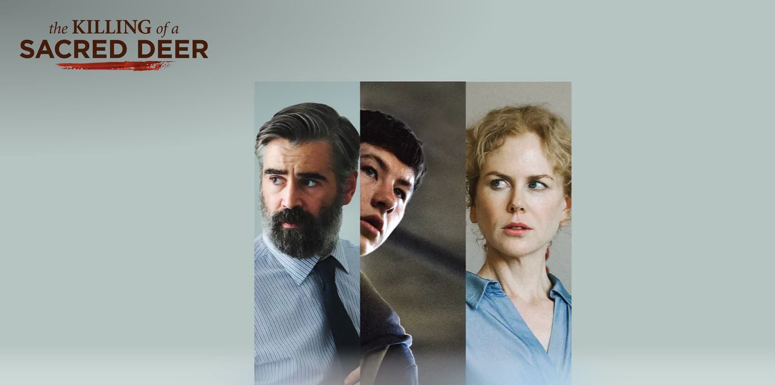 A poster for The Killing of a Sacred Deer (Image via A24)