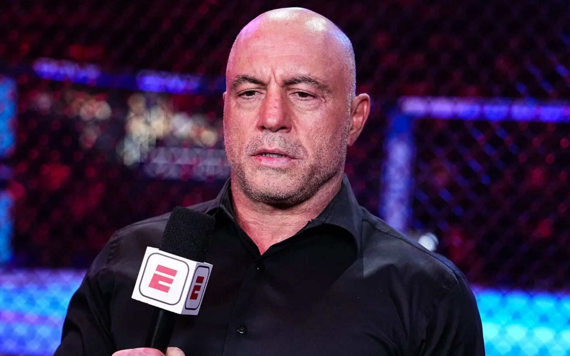 Joe Rogan talks about the importance of losing. [Image courtesy: Getty]