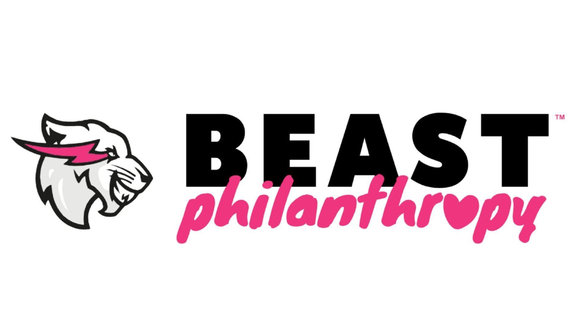 MrBeast maintains a non profit organization called Beast Philanthropy (Image via beastphilanthropy.org)