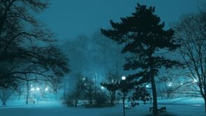 How to watch A Body in the Snow: The Trial of Karen Read? All streaming options explored