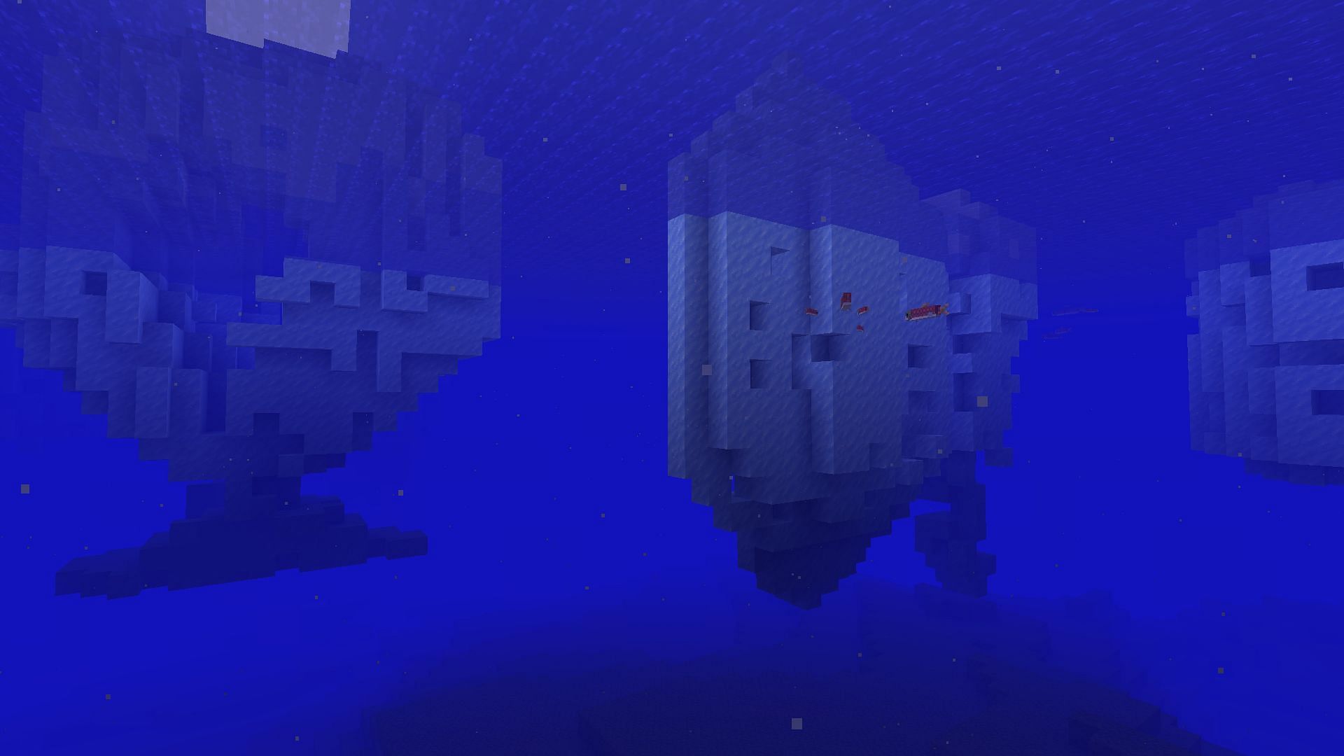 Rarest ocean biome (Image via Mojang &amp; Sportskeeda Gaming)