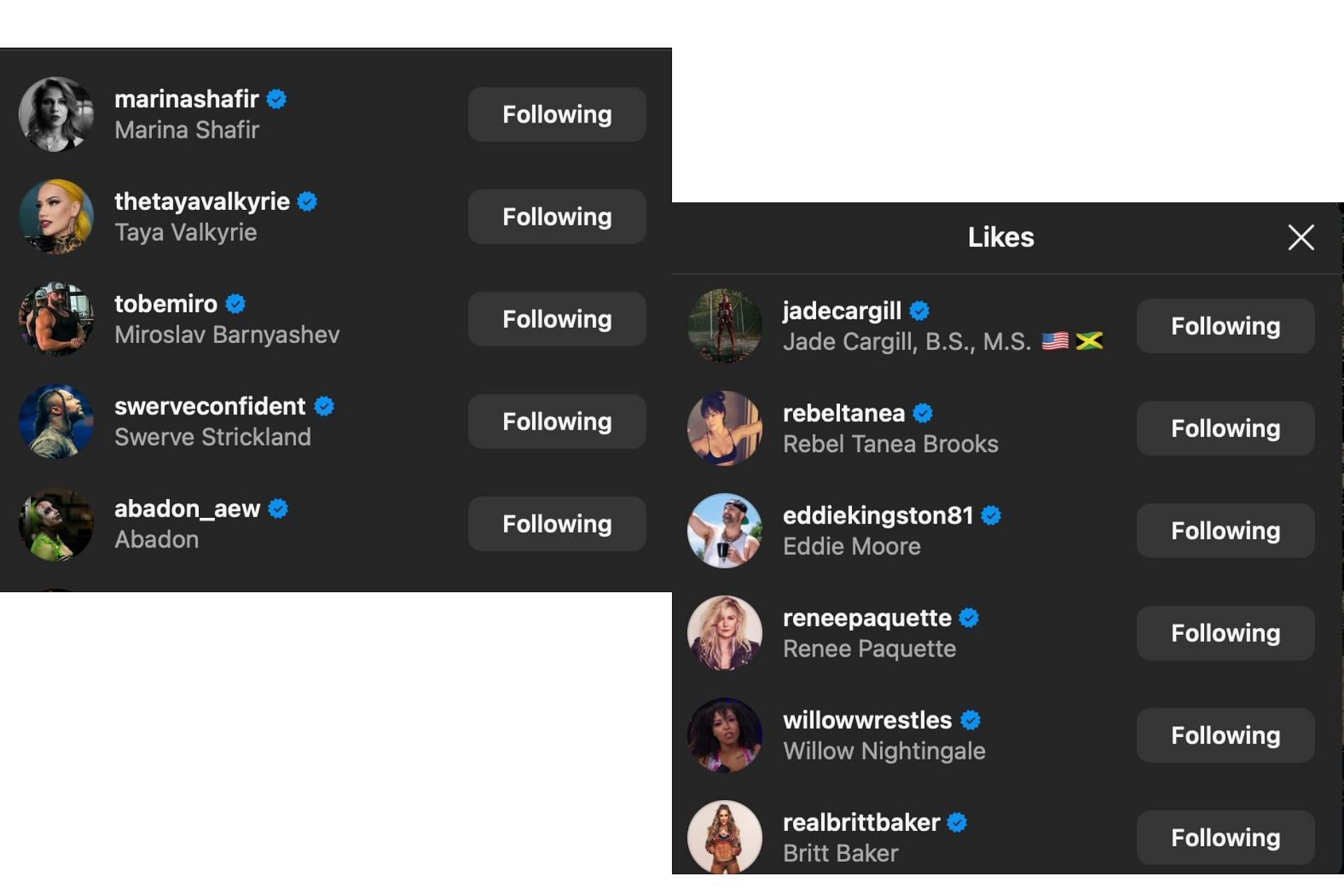 AEW and WWE stars who liked Leila Grey&#039;s recent post on Instagram