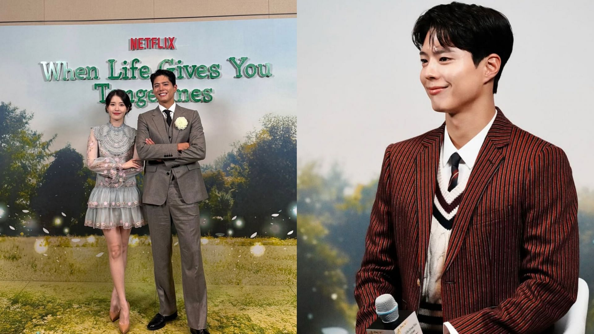 Fans praise Park Bo-gum for choosing a women-centric drama, When Life Gives You Tangerines (Images via Instagram/@bogummy)