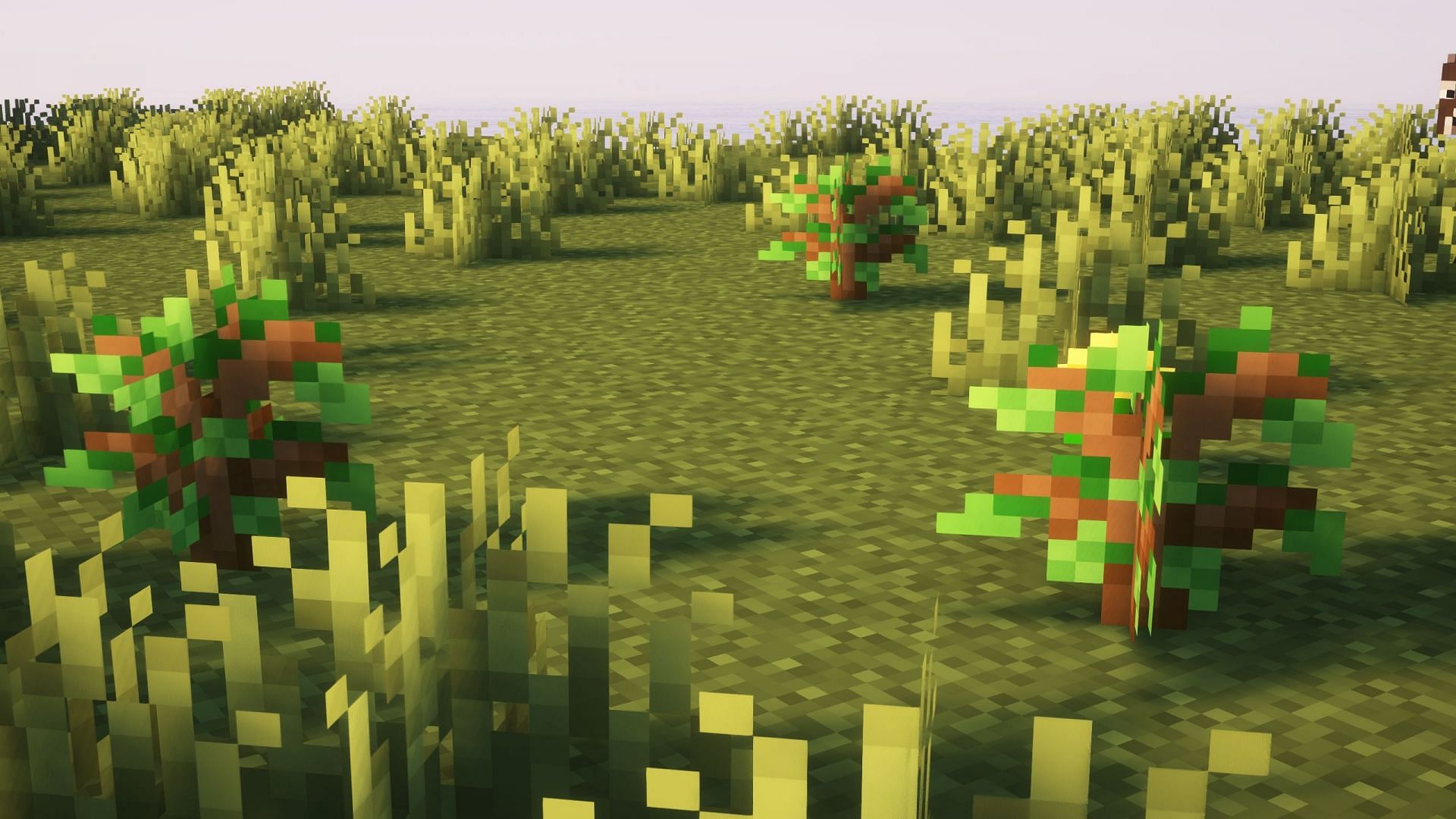 Keep growing trees after chopping down the first one (Image via Sportskeeda Gaming/Mojang Studios)