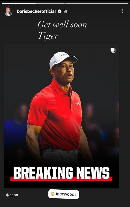 Screengrab of Boris Becker's Instagram story. Source: borisbeckerofficial