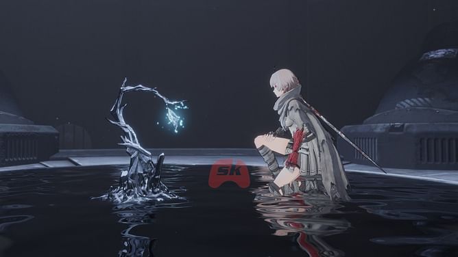 How to cultivate Branch in AI Limit