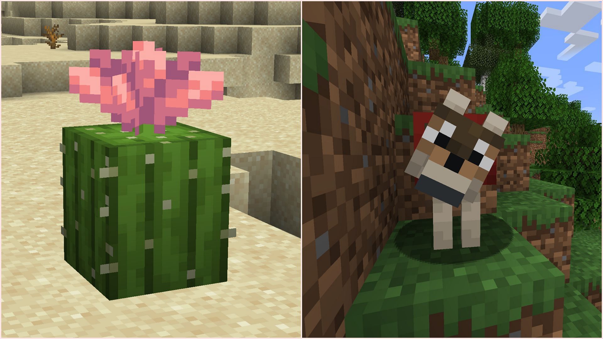 There are many features in the spring drop for which players should be excited (Image via Sportskeeda Gaming/Mojang Studios)