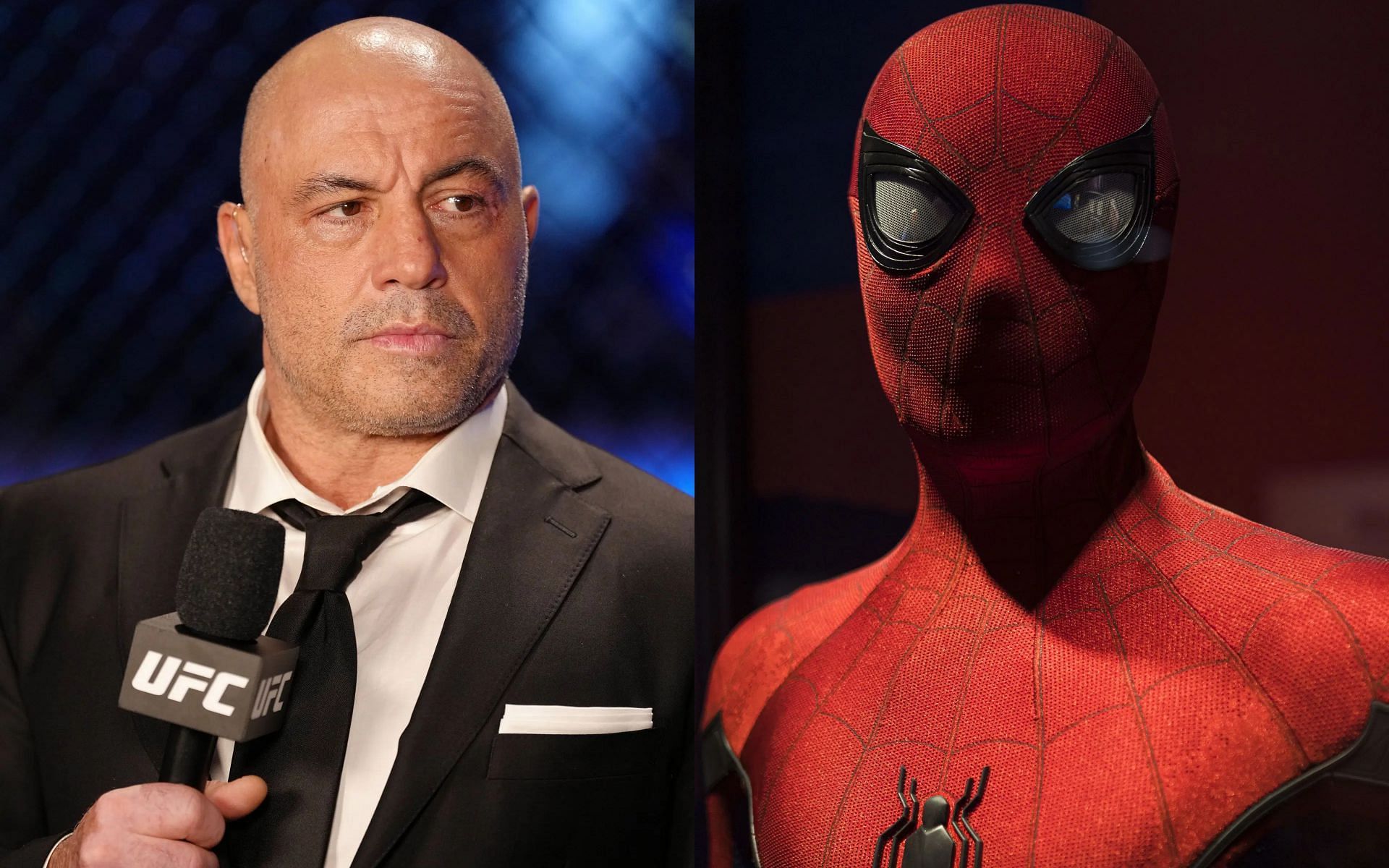 When Joe Rogan argued that Spider-Man&rsquo;s story should have been written differently