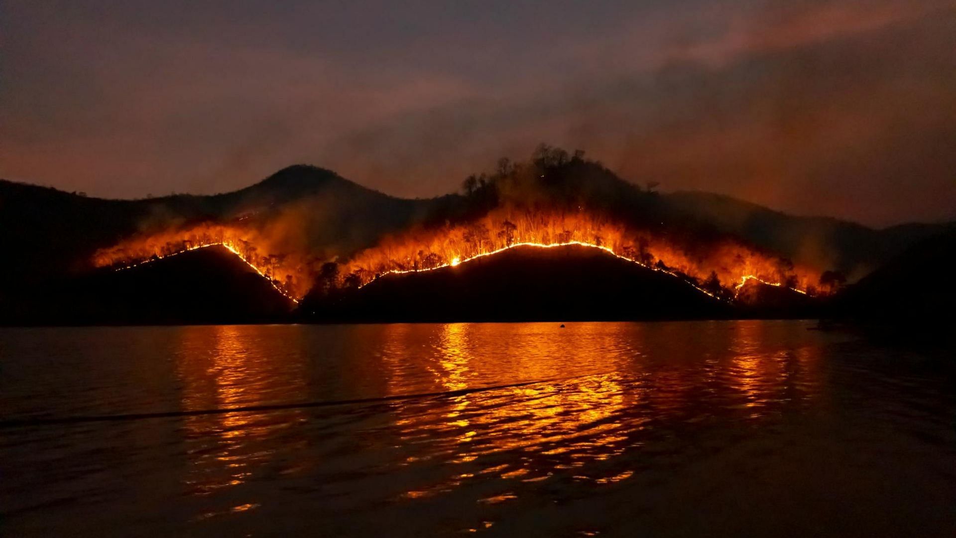 Weathered: Inside the LA Firestorm complete release details explored (Image via Pexels)