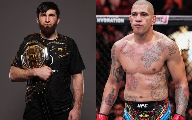 Ex-UFC alum slams ex-Kansas City Chiefs star for "UFC being ruined by these grapplers" tweet during Alex Pereira vs. Magomed Ankalaev