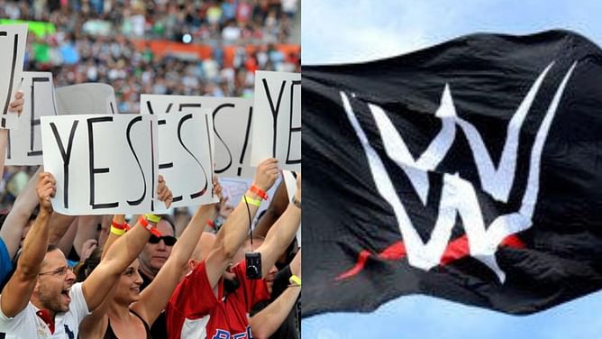 Newly crowned champions break silence; last WWE appearance was four years ago