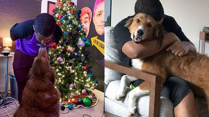 Nmplol pays emotional tribute to dog Kevin after it was put down