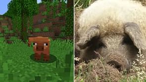 Minecraft reveals the inspirations for the new variants