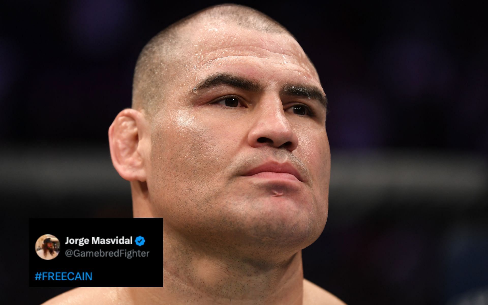 MMA world reacts to Cain Velasquez