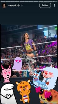 An image from CM Punk's Instagram story!