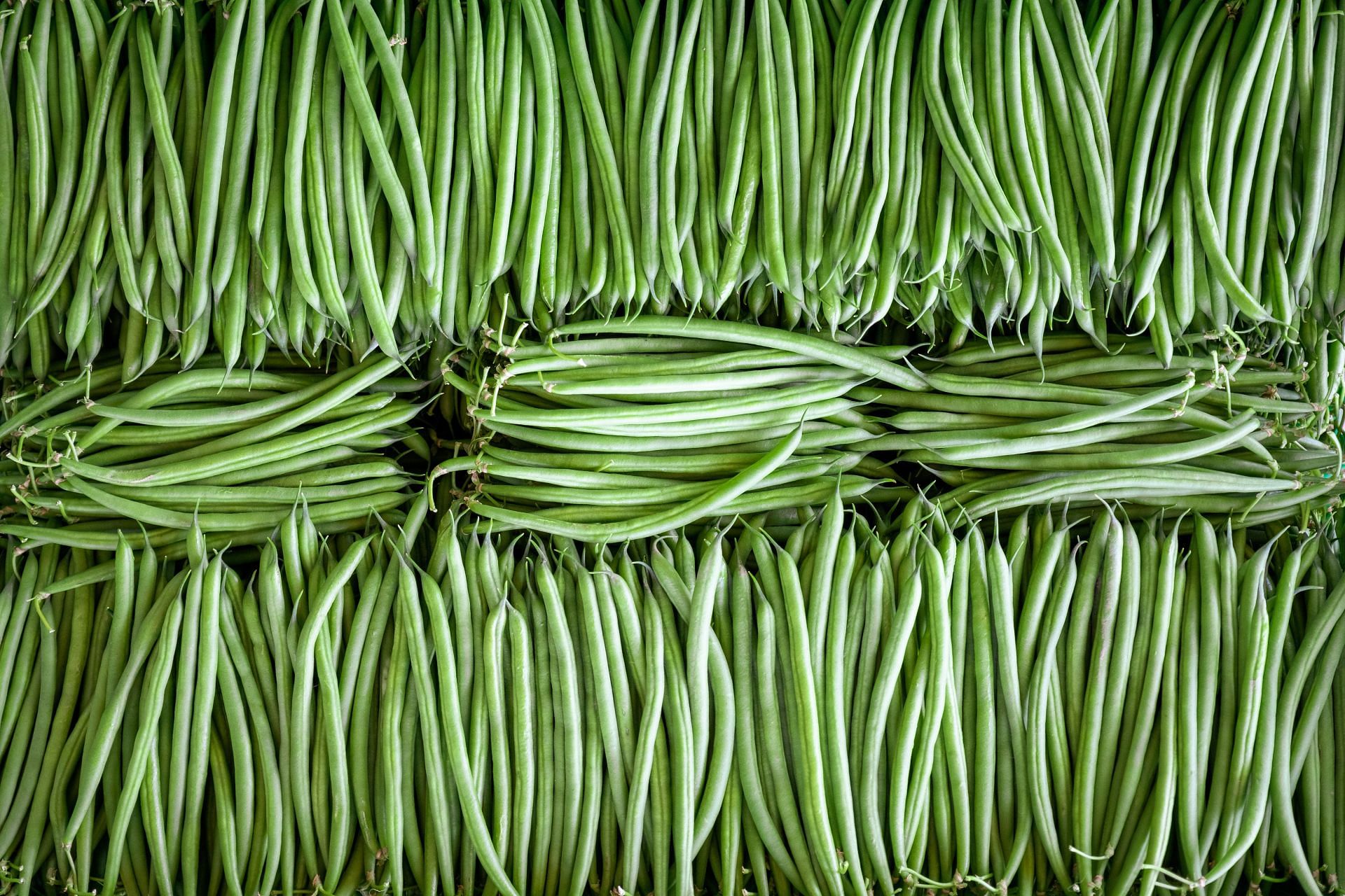 Flat lay of fresh French beans oedered in a row in a crate, Kigali, Municipality of Kigali, Rwanda - Source: Getty