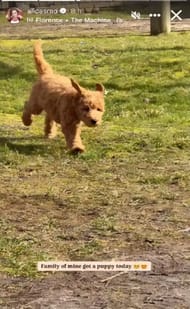 Still taken from Schmidt's Instagram (@alicasmd/Instagram)