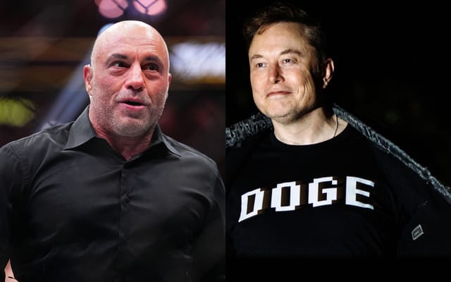 Elon Musk gives four-word reaction to Joe Rogan's discussion on DOGE ...