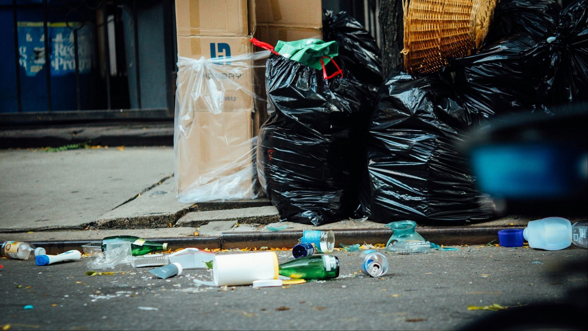 Muehlberg&#039;s victims were found in trash bins and makeshift boxes (Image via Jon Tyson/Unsplash)