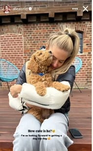 Still taken from Schmidt's Instagram (@alicasmd/Instagram)