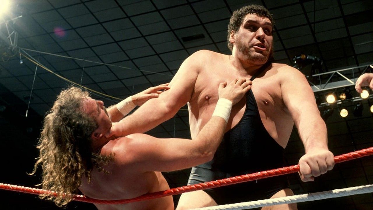 WWE, Andre The Giant, Yokozuna, Haystacks Calhoun, 