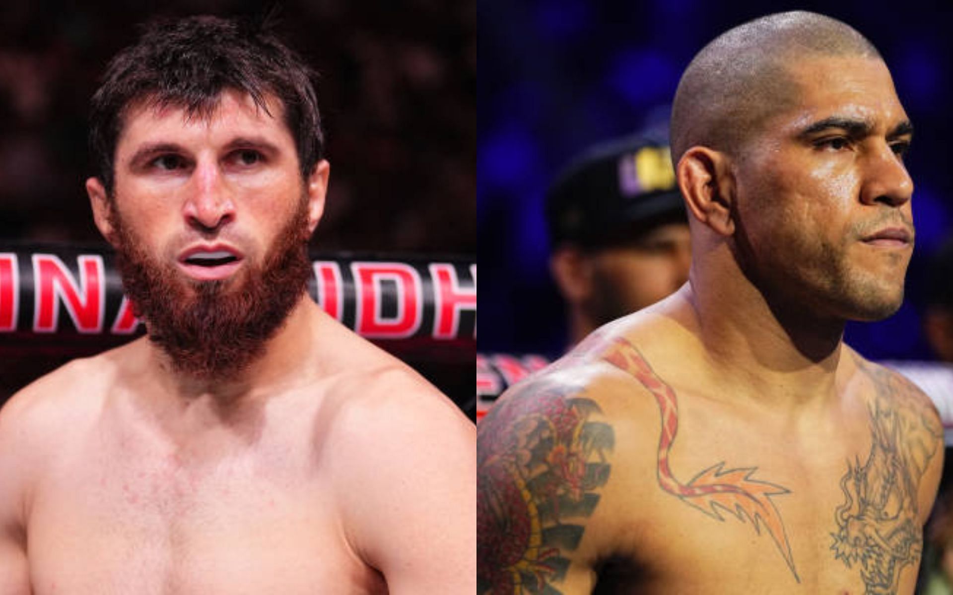 Magomed Ankalaev (left) claims the UFC is protecting Alex Pereira (right) [Image credits: Getty Images]