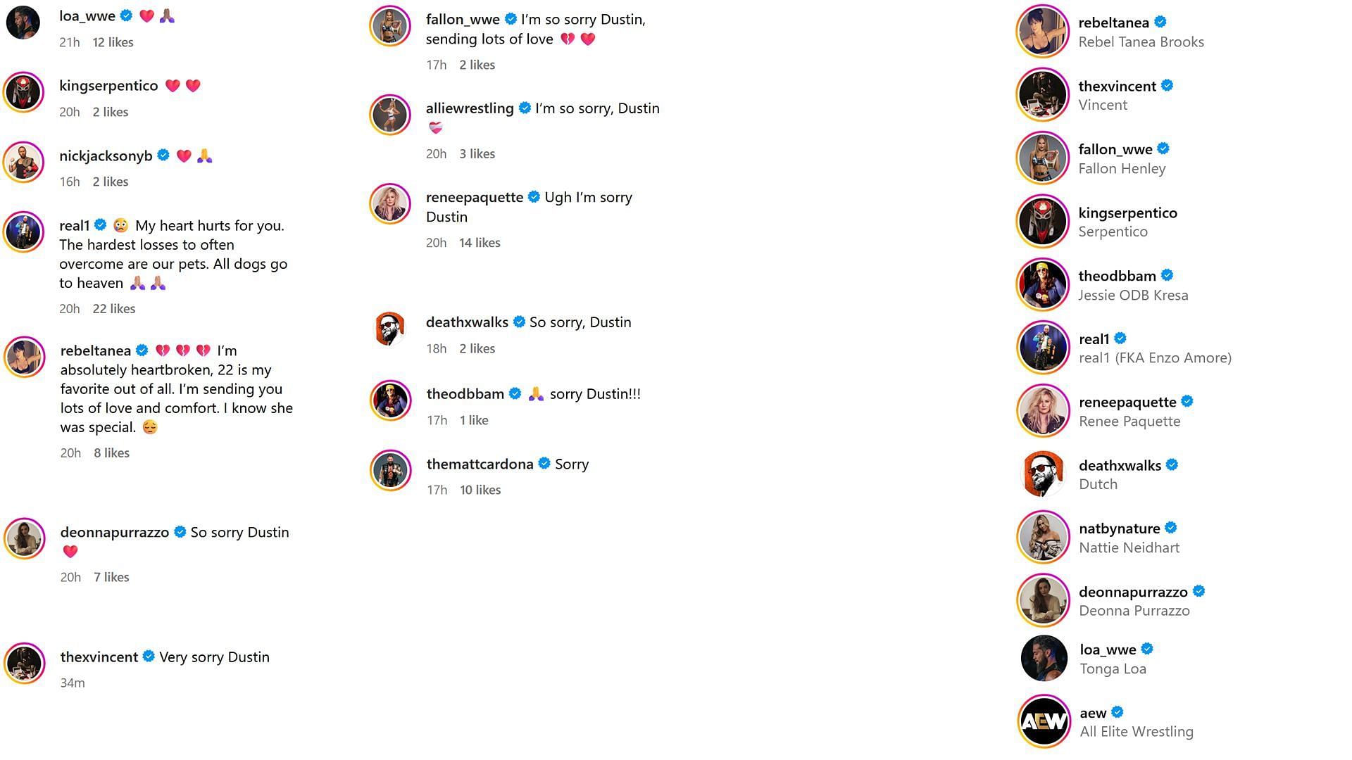 Screenshot of reactions to Dustin Rhodes&#039; post on Instagram Stories (Photo Credit: Dustin Rhodes on Instagram)