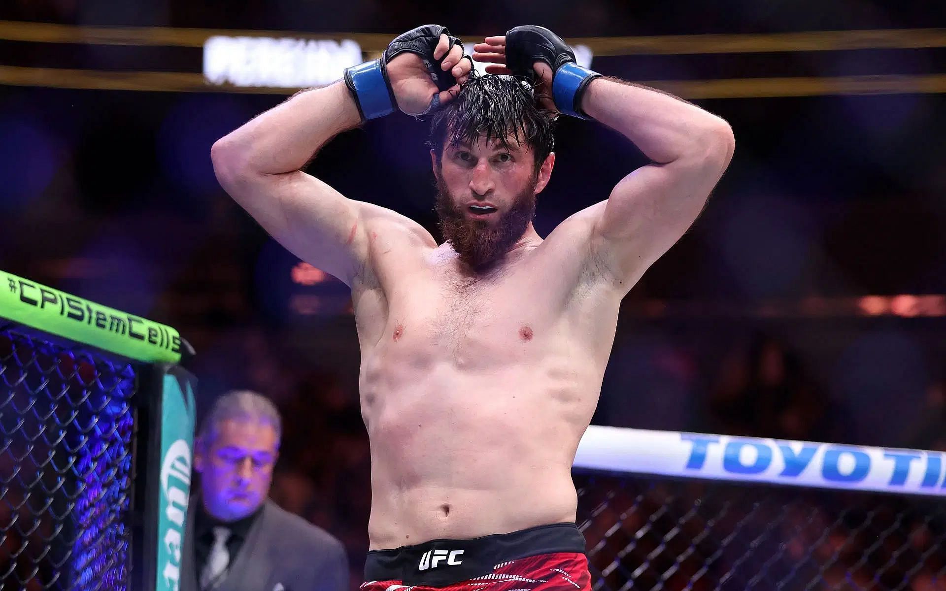 Chael Sonnen reacts to Dillon Danis taking shots at Magomed Ankalaev following UFC 313 victory.