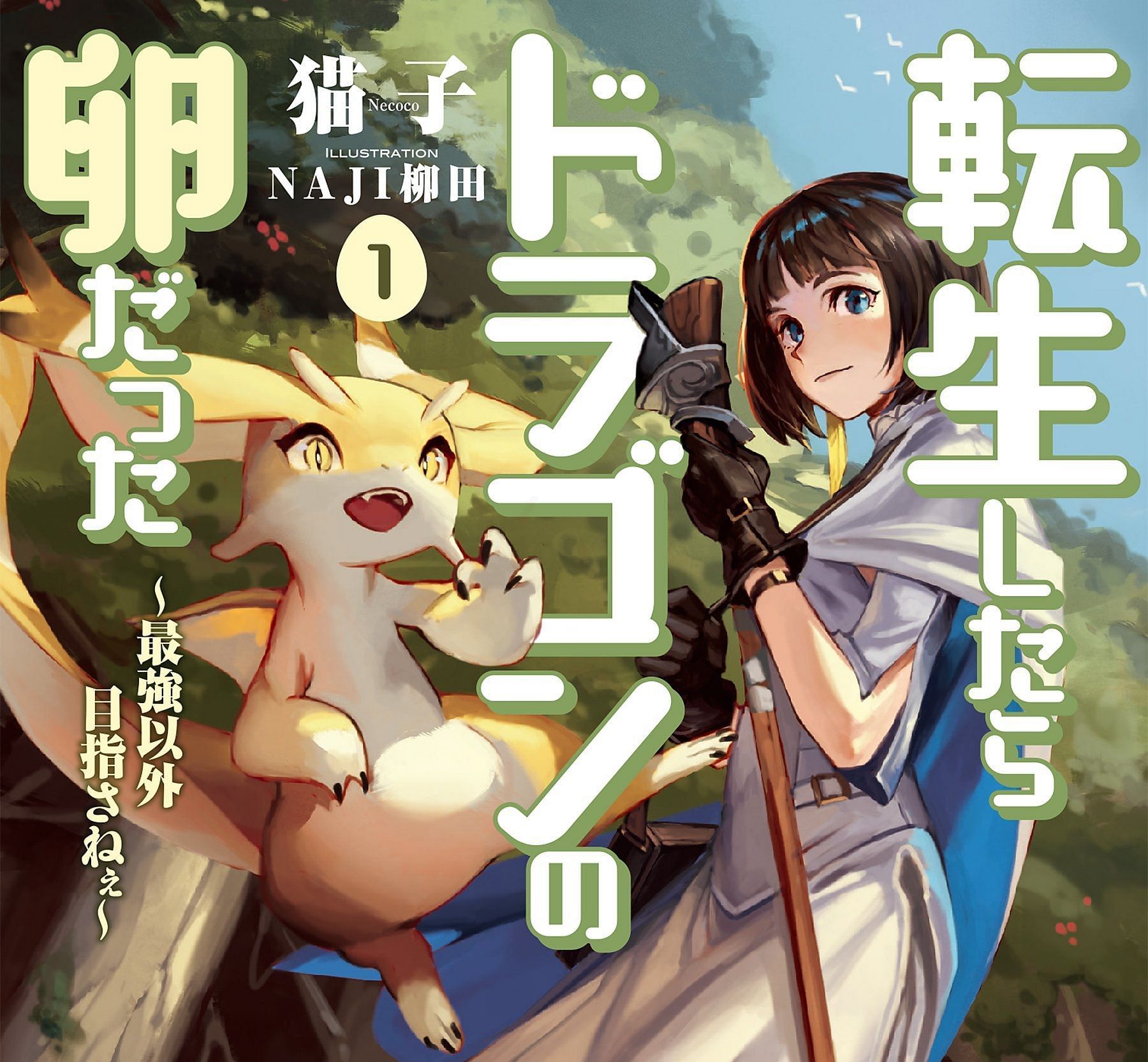 A cover of the light novel (Image via Square Enix).