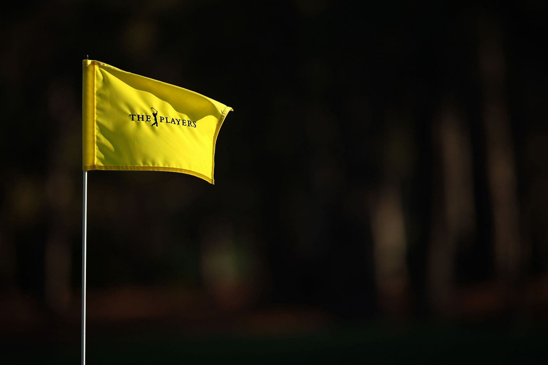 THE PLAYERS Championship 2025 - Previews - Source: Getty