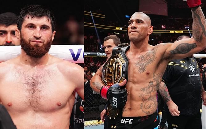 "Possibly get him knocked out" - Ex-UFC champion shares honest take on why Alex Pereira's attack patterns make him vulnerable against Magomed Ankalaev