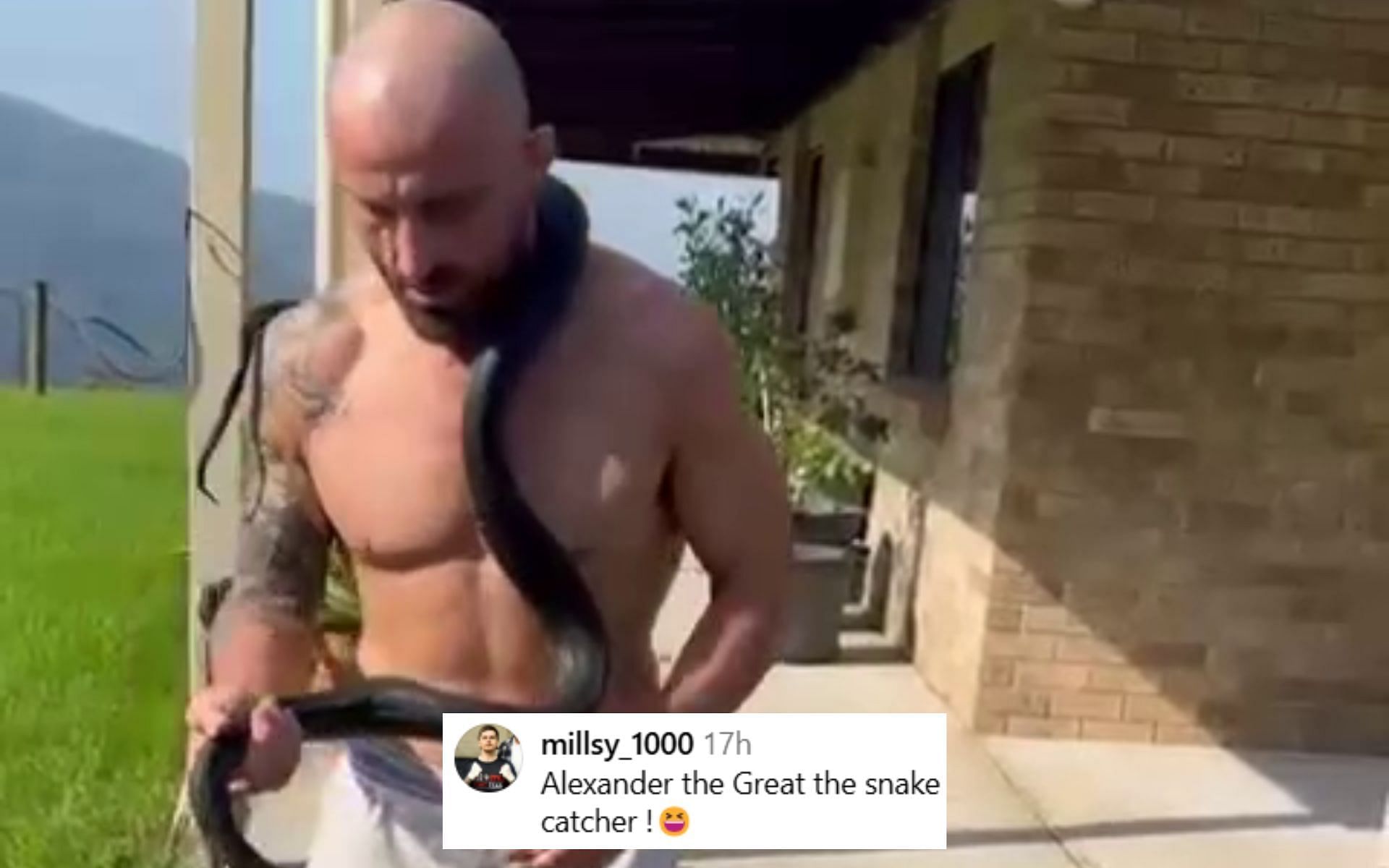 Fans react to Alexander Volkanovski catching a snake. [Image courtesy: @alexvolkanovski on Instagram]