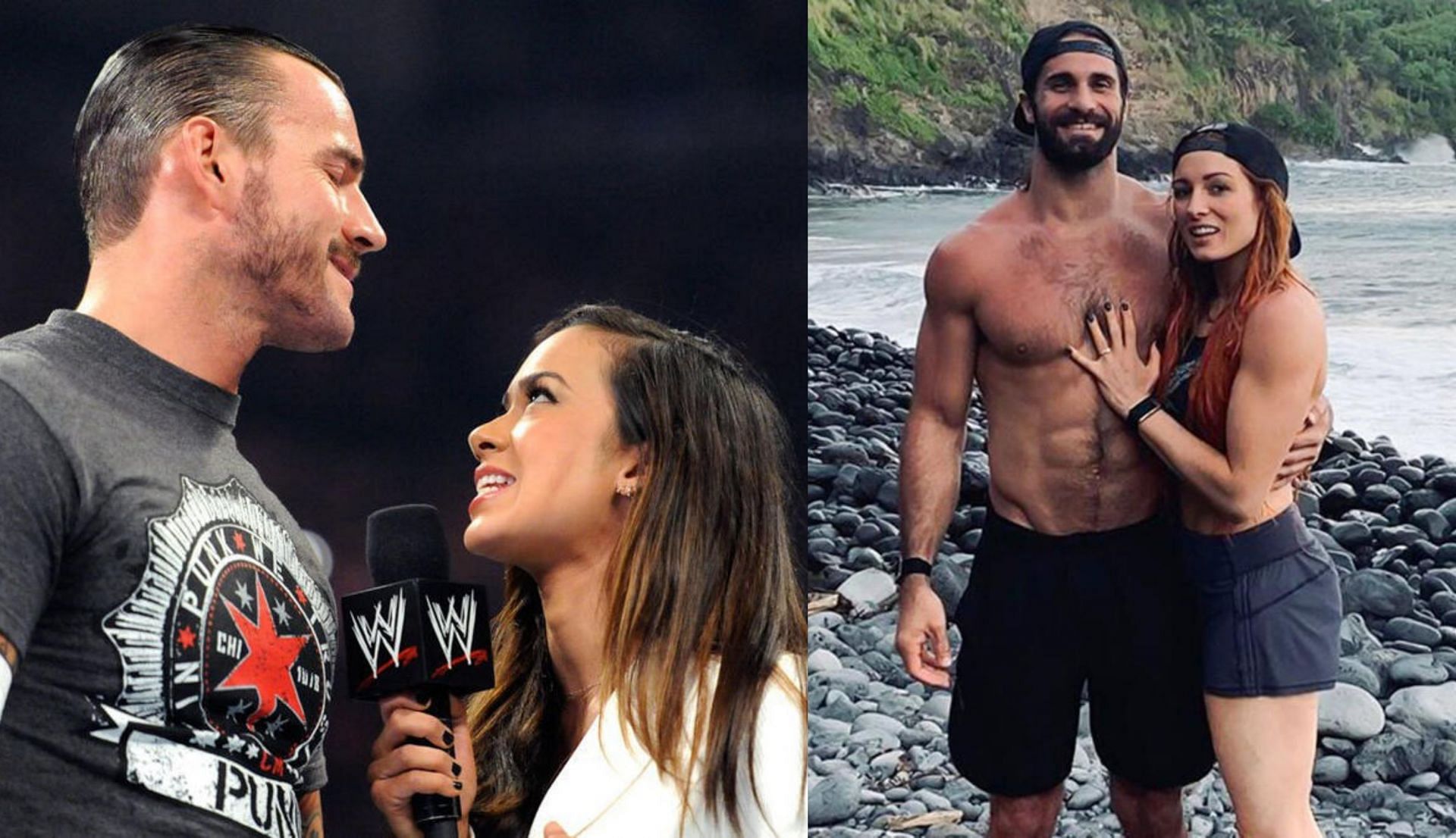 कुछ स्टार्स की पत्नियां एक्शन से दूर हैं (Photo: WWE.com)