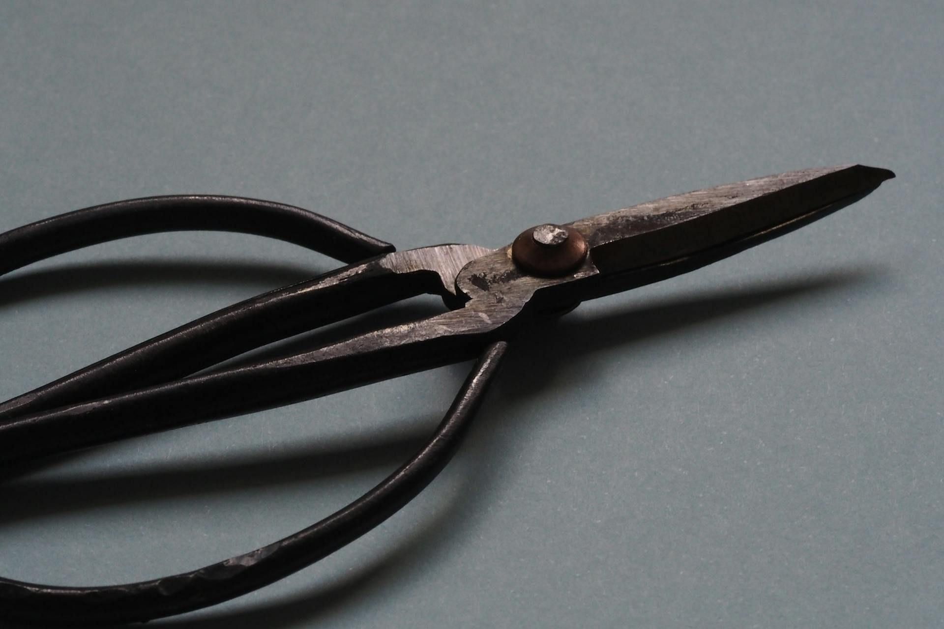 Detectives found 20/20 subject Cathy was murdered with a pair of scissors (Image via Pexels)