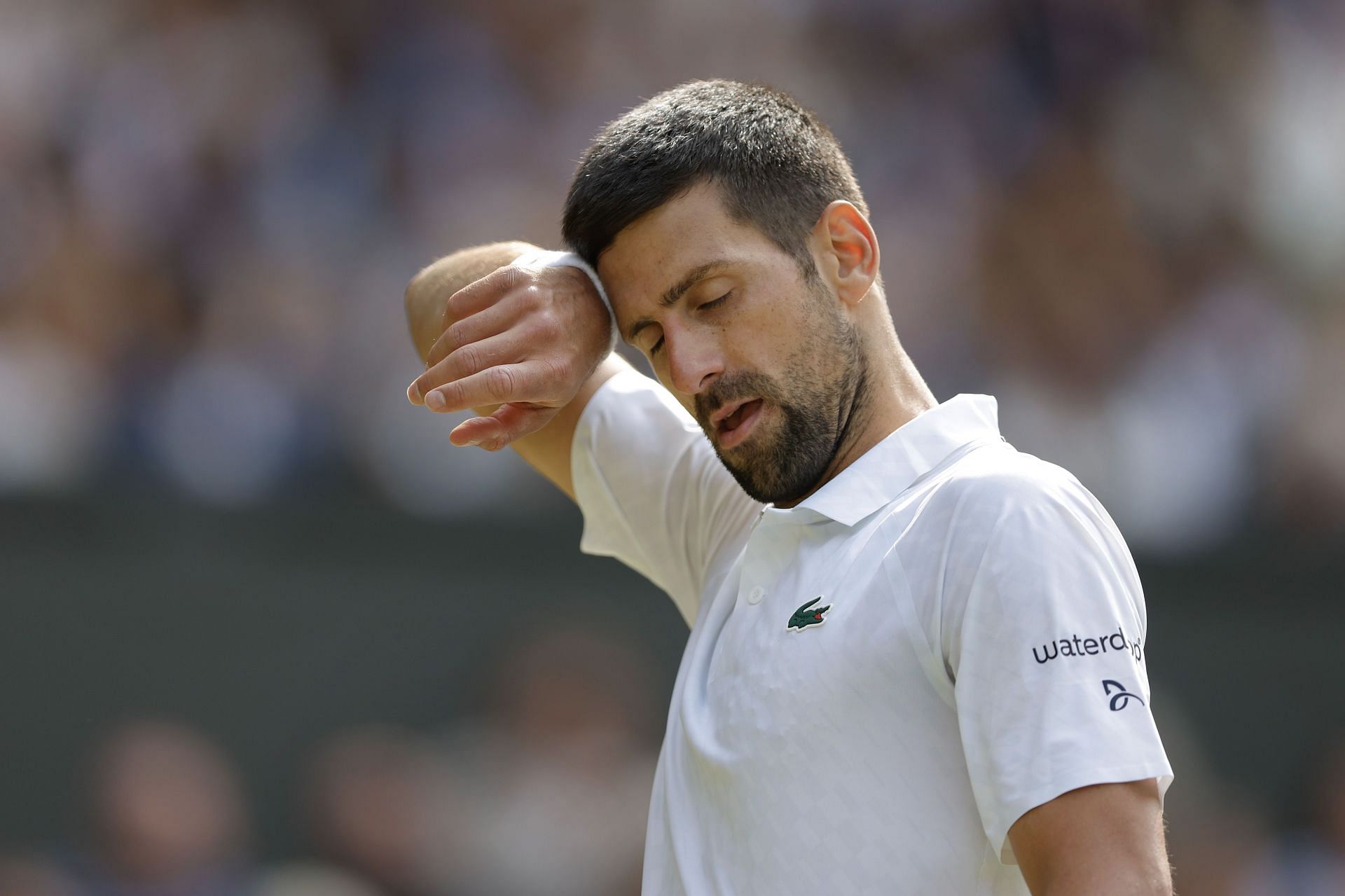 Novak Djokovic has lost back-to-back Wimbledon finals against Carlos Alcaraz - Source: Getty