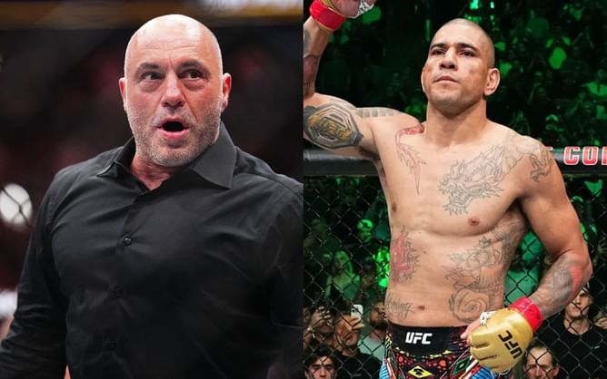 Joe Rogan gets honest about Alex Pereira's success in the UFC, explaining why many single-discipline specialists fail in MMA