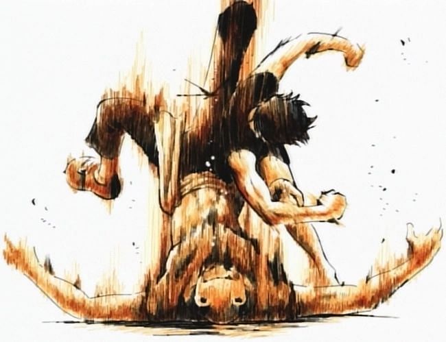 Monkey D. Luffy in One Piece