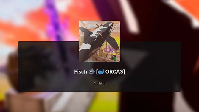 What bait do Orcas like in Fisch?