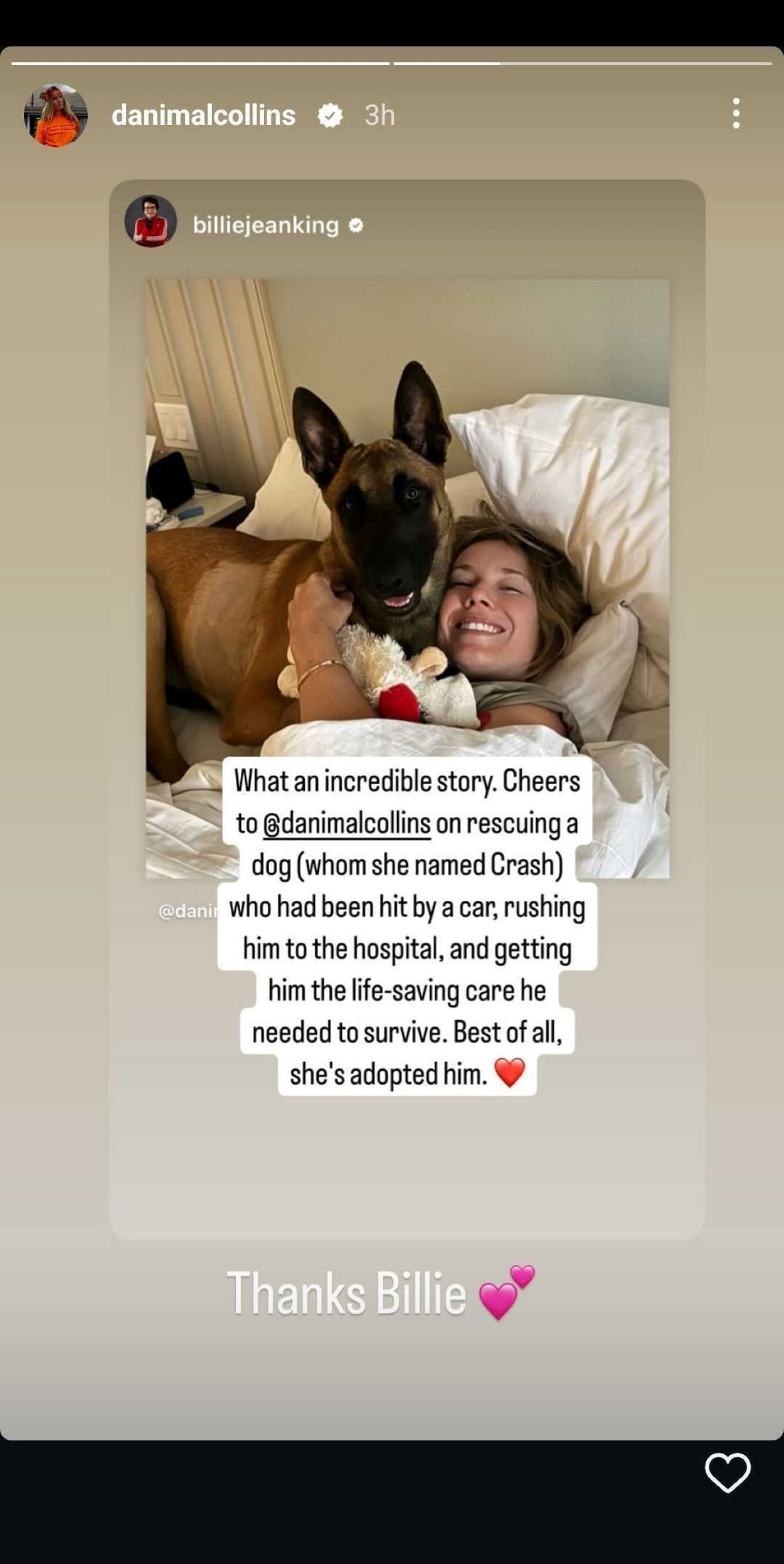 Danielle Collins Instagram (https://www.instagram.com/stories/danimalcollins/3598739419340891187/?hl=en)