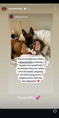 Danielle Collins Instagram (https://www.instagram.com/stories/danimalcollins/3598739419340891187/?hl=en)