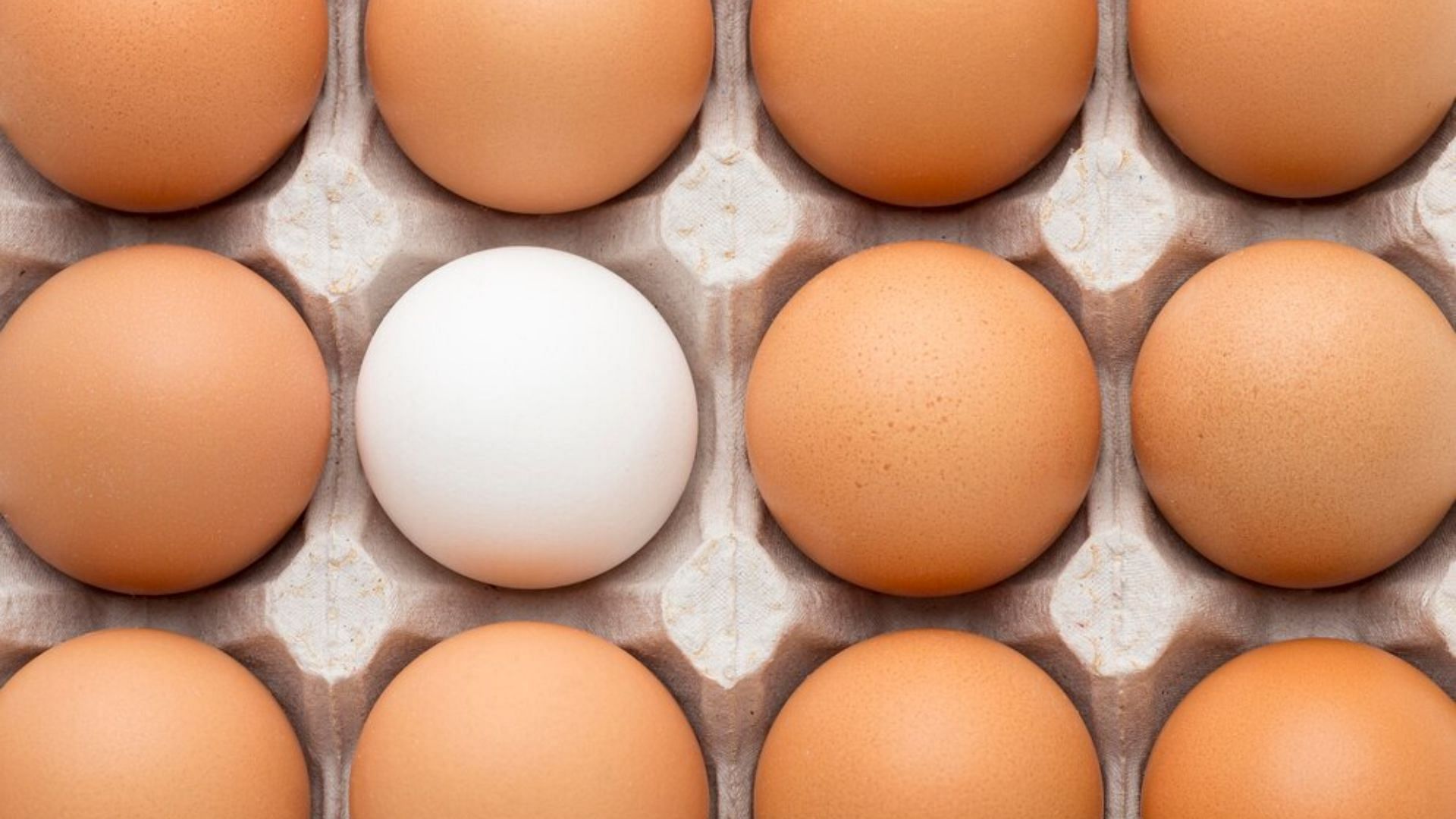 Brown Vs. White Eggs (Image via Freepik)