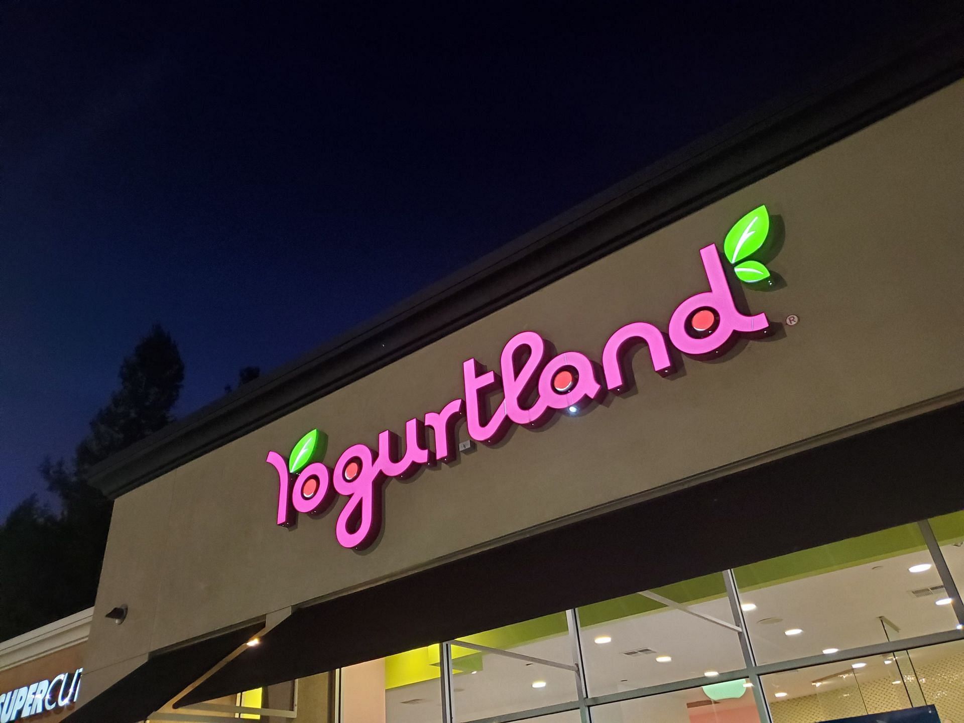 Yogurtland - Source: Getty