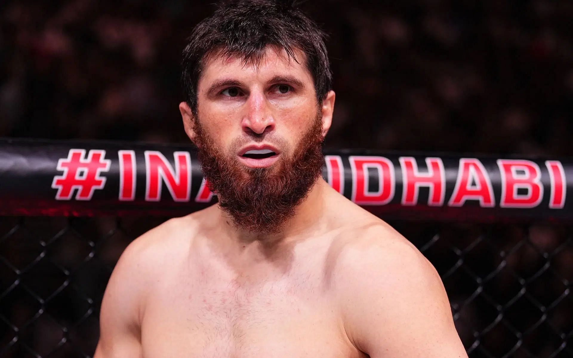 The onyl fighter to beat Magomed Ankalaev (pictured) reveals he struggled with an eating disorder after dropping down a division [Image courtesy: Getty Images]