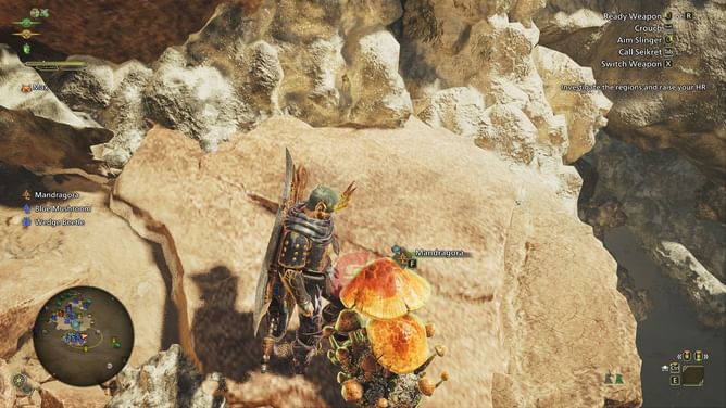 Where to find Mandragora in Monster Hunter Wilds