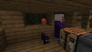 A sweet home of a witch and its black cat (Image via Mojang & Sportskeeda Gaming)