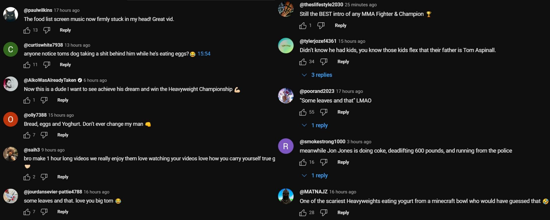 Screenshot of comments [Image Source - @tomaspinallofficial on YouTube]