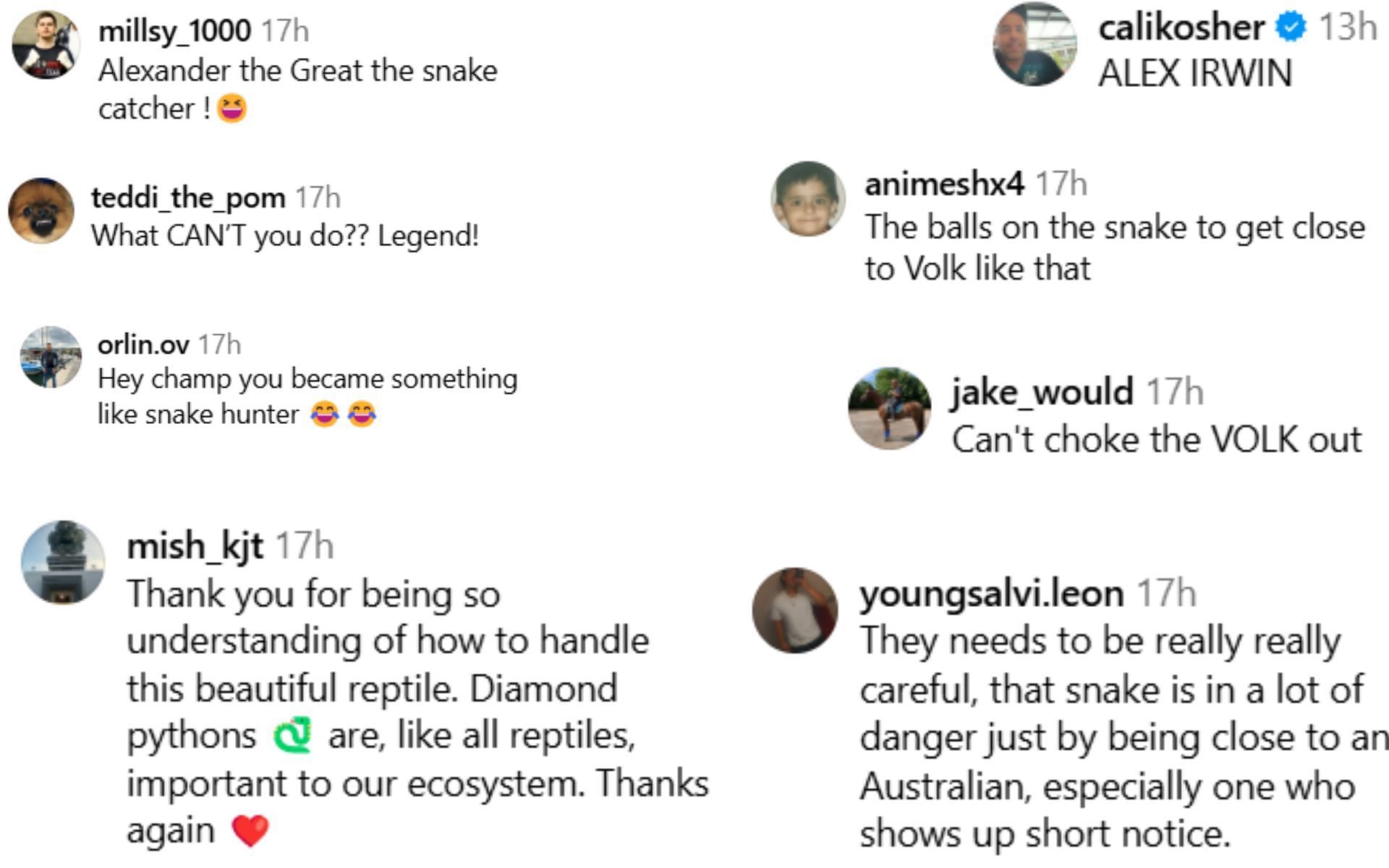 Fan reactions [Screenshots courtesy: @alexvolkanovski on Instagram]