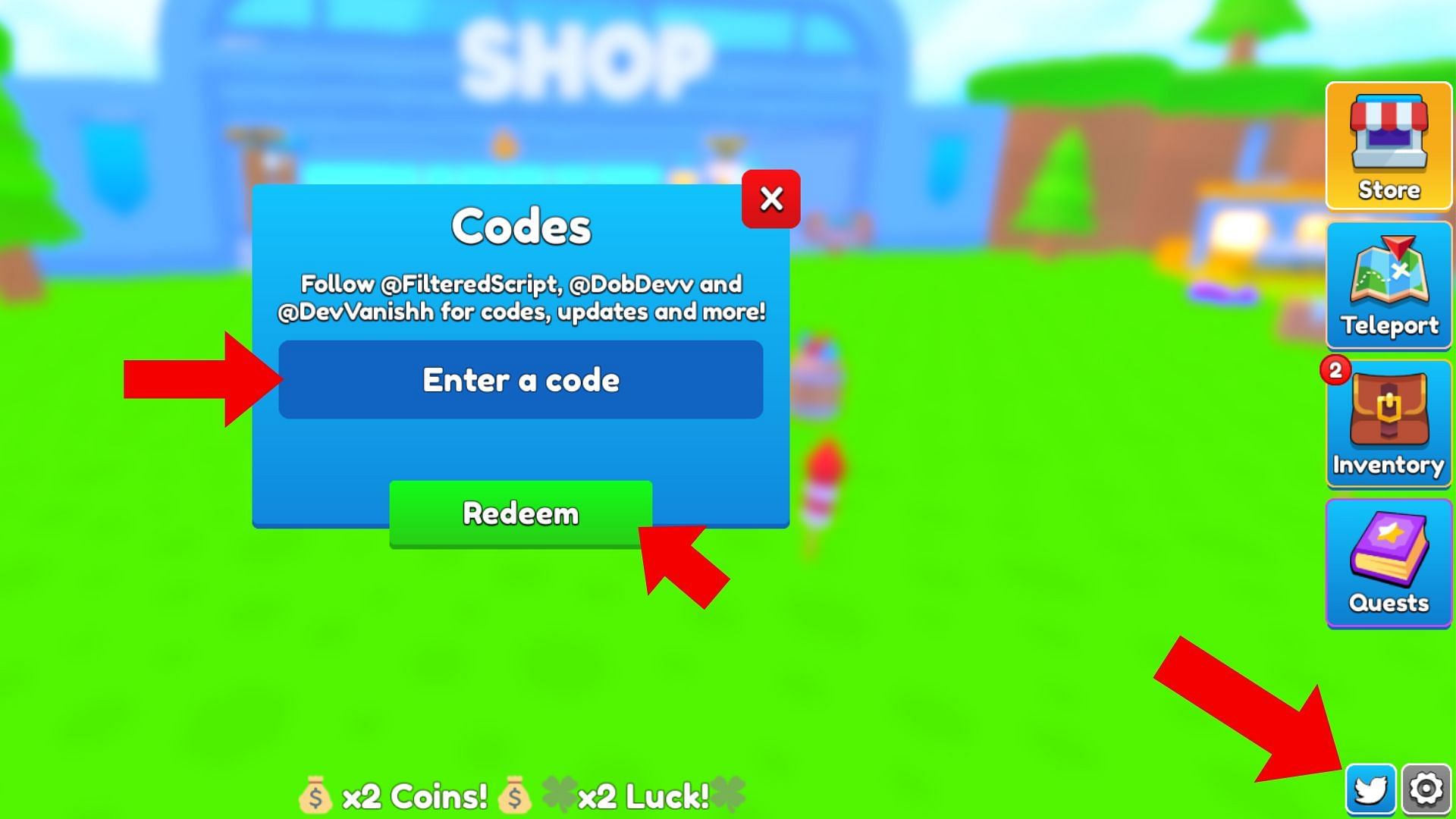 Enter a code in the text field (Image via Roblox)