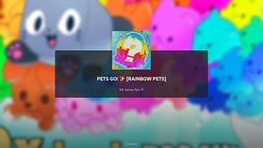 Pets Go Rainbow Competition guide
