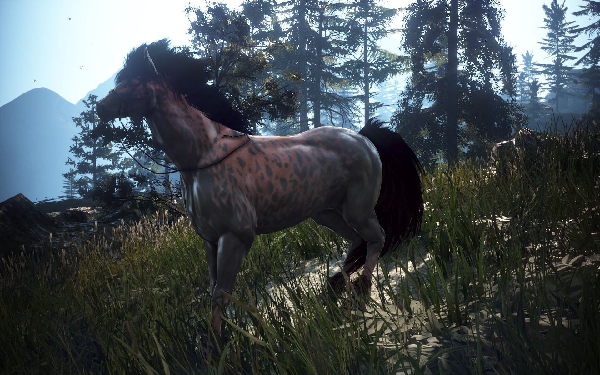 You can tame wild horses (Image via Pearl Abyss)